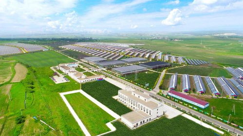 鄉(xiāng)村振興看長春 走在農業(yè)科技創(chuàng)新的路上,她斗志昂揚