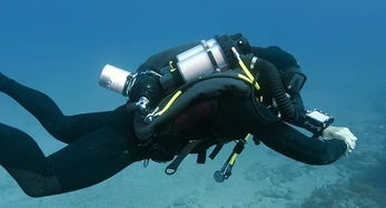 揭秘《藍色星球2》中的無氣泡潛水設(shè)備 科技與自然的完美融合